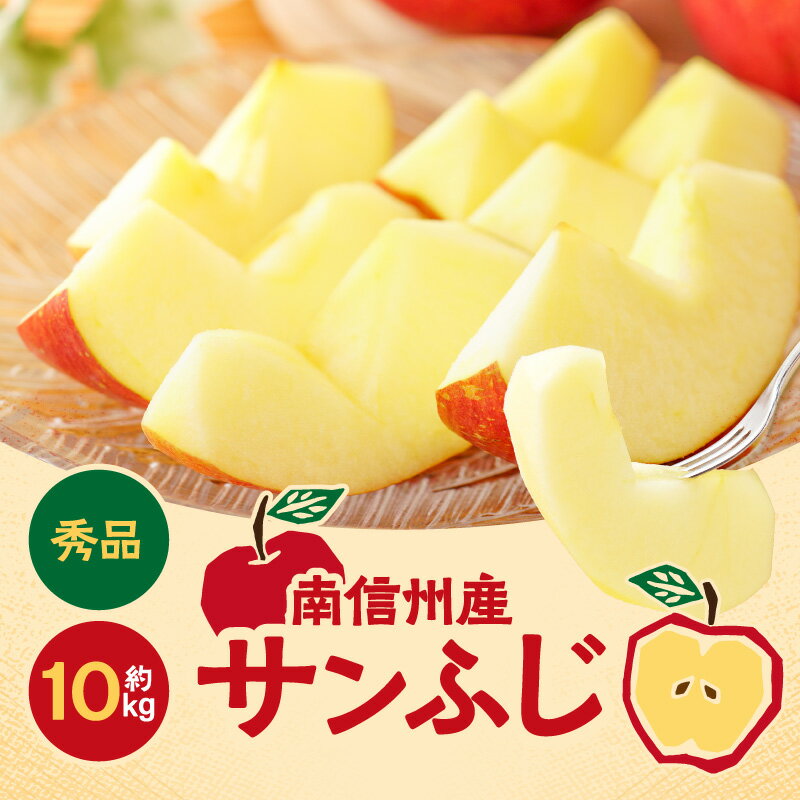 【ふるさと納税】太陽の光をたっぷりと浴びた 長野県産 りんご サンふじ 約10kg 秀品 ＜2025年11月下旬〜12月中旬発送＞ | 果物 くだもの フルーツ りんご リンゴ 林檎 長野県 信州 南信州 飯田市 B34