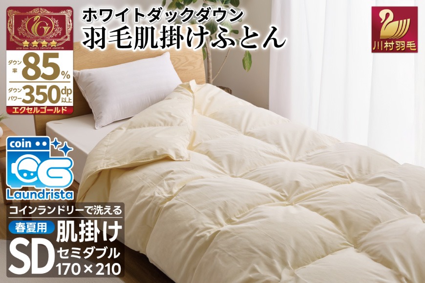 【春夏用】洗える！ 羽毛 肌掛け布団 セミダブル ホワイトダックダウン 85% 0.5kg (無地 アイボリー) [川村羽毛 山梨県 韮崎市 20743632] 布羽毛布団 布団 ふとん 羽毛 肌掛け 掛け布団 寝具 夏用 日本製 国産 抗菌防臭 無地