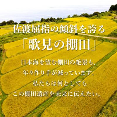 ふるさと納税 佐渡市 棚田米 佐渡こしひかり 佐渡市歌見地区　精米　5kg |  | 01