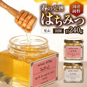 【ふるさと納税】春の完熟はちみつ 里山 120g ＆ 田園 120g《豊前市》【須田養蜂場】蜂蜜 はちみつ 調味料 ギフト[VAR004] 11000 11000円