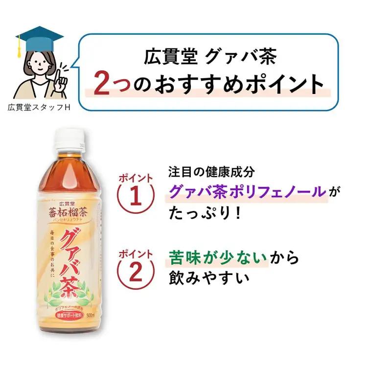お茶 定期便 グァバ茶 500ml 24本 1ケース 3回 計72本