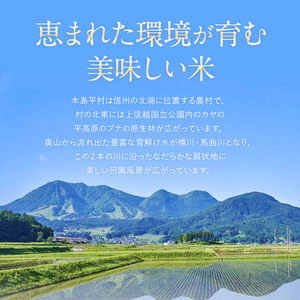 木島平産コシヒカリ 約5kg