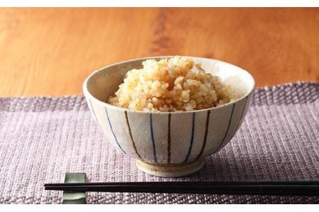 【玄米・令和7年産】 丹波篠山産 こしひかり 玄米 （3kg×2袋 計6kg） 玄米 コシヒカリ Q003