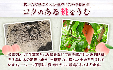 ブランド桃 あら川の桃 大玉3個入り