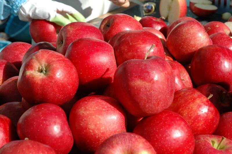 【五枚橋ワイナリー】林檎ワイン 人気の2本セット（ふじ・カシスロゼ）