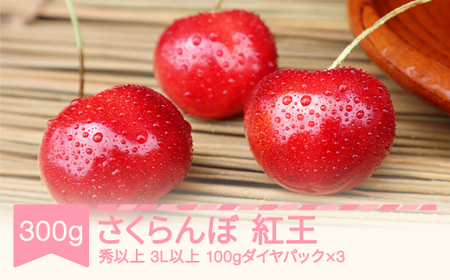 先行予約 さくらんぼ やまがた紅王 3L以上 秀品以上 300g 100g×3パック 2026年産 令和8年産 山形県産 mm-yb3ld300