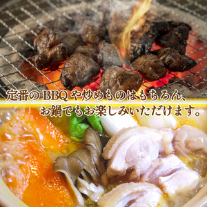 【宮崎ブランド地鶏】朝挽き ”みやざき地頭鶏” もも・むねおためしセット 約1kg（国産 鶏 鶏肉 地頭鶏 モモ ムネ 焼肉 BBQ） 国産鶏肉 鶏肉もも 鶏肉モモ 鶏肉むね 鶏むね