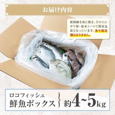 ふるさと納税 肝付町 漁師厳選!ロコフィッシュ(地魚) 下処理済 鮮魚 ボックス(約4〜5kg)　A78004 |  | 03
