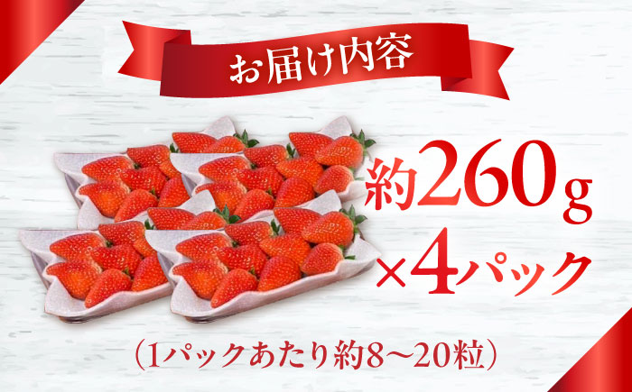 【2025年1月中旬〜発送】【数量限定】いちご「ゆめのか」 約260g × 4P / イチゴ 苺 フルーツ 果物 産地直送 朝摘み / 南島原市 / O' Berry! [SGA001]