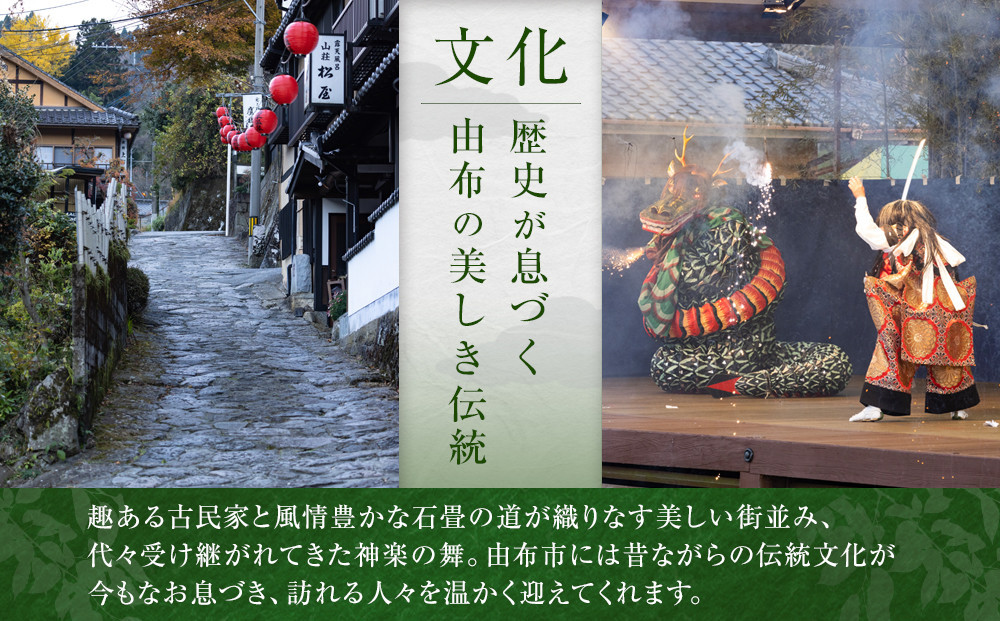 庄内かぼすサイダー（大分県由布市産「かぼす」果汁15％使用）　24本
