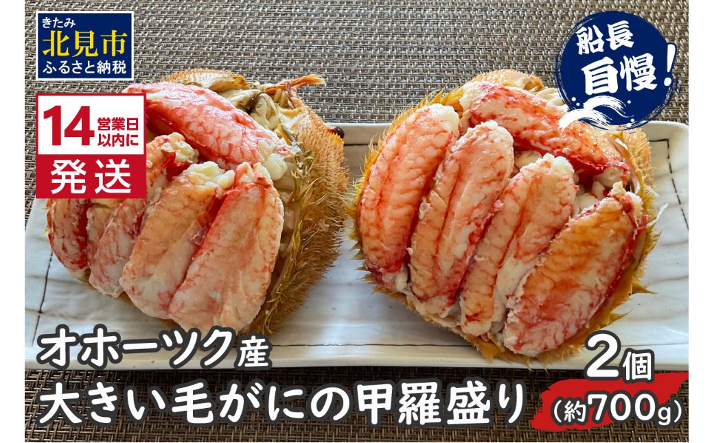 《14営業日以内に発送》オホーツク産 大きい毛がにの甲羅盛り 2個入り 冷凍 ( 毛がに かに カニ 蟹 甲羅盛 魚介類 北海道 )【114-0092】