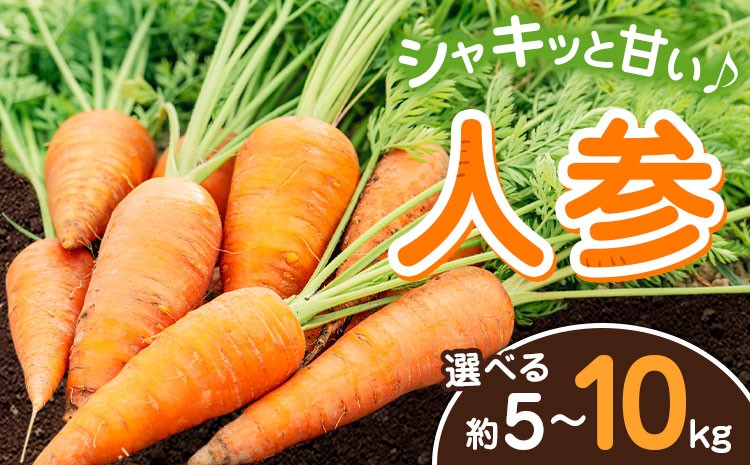 
                  【先行予約】人参 選べる内容量 約5kg (17-33本) 約10kg (35-65本) 日本フルーツ株式会社《2026年4月上旬-6月上旬頃出荷》熊本県 菊池市 にんじん ニンジン 野菜 熊本県産
                