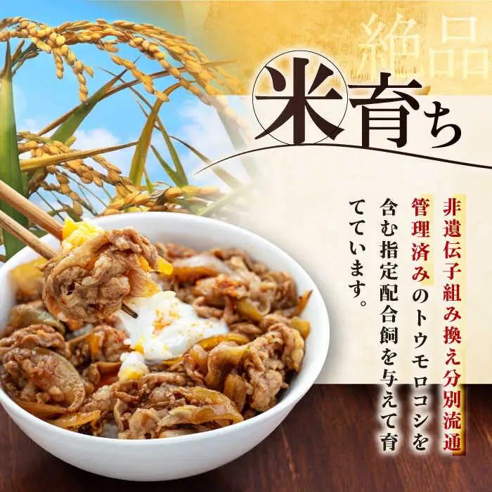 【全6回定期便】平田牧場 切り落とし 1kg (500g×2P)  豚肉 切り落とし 小分け [AJAP032]