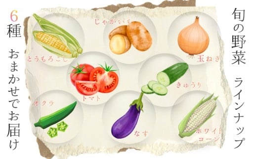 奈良県産 季節の大和野菜 おまかせ６種セット 【入金確認後２週間以内に発送】／ スマイル葛城農業 奈良 葛城市 野菜野菜 産直 新鮮 旬 茹で スープ サラダ グリル 名産 健康 美容 栄養 ふるさと