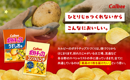 【 期間限定 特別価格 】 カルビー ポテトチップス 2種 食べ比べ セット 【 うすしお × コンソメパンチ 】 計24袋 K194-002_09 ポテチ チップス 菓子 お菓子 スナック スナック