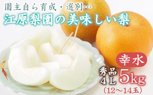 【先行予約】江原梨園の美味しい梨　約5kg　幸水　【2025年8月上旬より発送】【11246-0151】