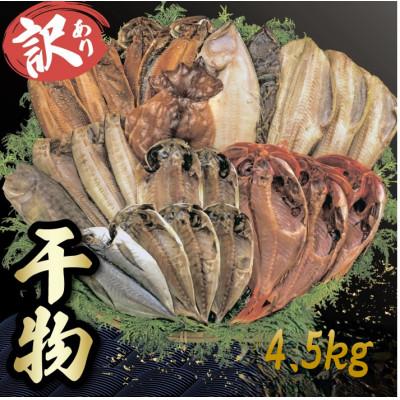 ふるさと納税 沼津市 【期間限定】訳あり 干物詰め合わせセット 4.5kg【山由水産】