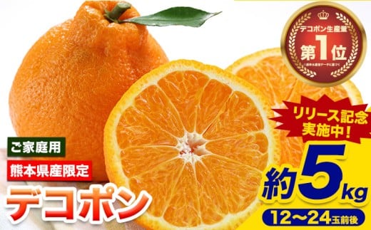 先行予約 デコポン ご家庭用 デコポン 約5kg 前後 (約12-24玉前後) 糖度13度以上 訳あり デコポン 《2026年2月上旬-4月末頃出荷》 個別光センサー選果 みかん 柑橘 フルーツ 旬 不知火 でこぽん 期間限定 厳選