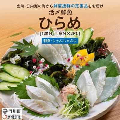 ふるさと納税 門川町 活〆ヒラメのお刺身(1尾分:約300g〜400g)(門川町)