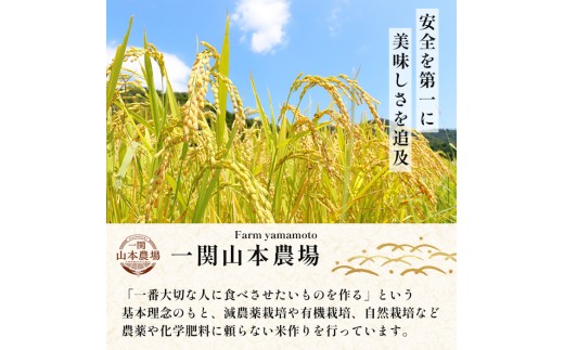 玄米