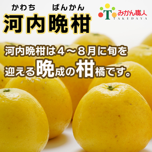 冷凍 みかん 外皮なし 河内晩柑 500g 冷凍みかん 武田屋