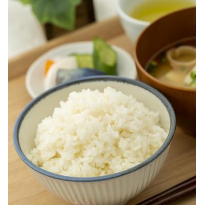 ふるさと納税 酒田市 山形県産　つや姫5kg　令和7年産 |  | 02