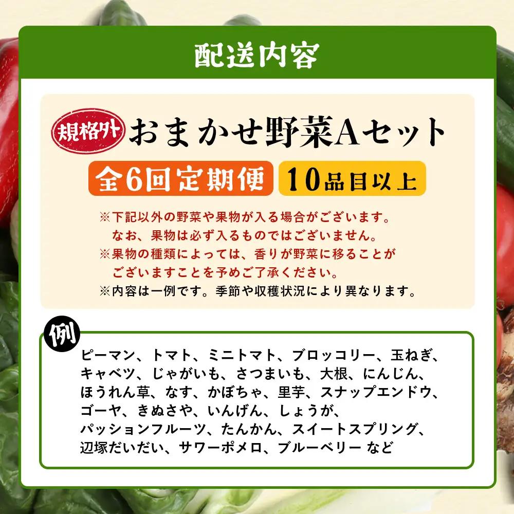 【定期便全6回】【規格外】本土最南端から 旬のおまかせ野菜セットA 10品目以上 NI-5 ｜ 旬 野菜 やさい 果物 くだもの 産地直送 農産物 冷蔵 鹿児島県 南大隅町産 詰合せ おまかせ 家庭用