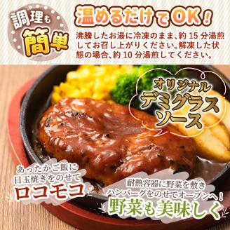 a563 「かごしま黒豚さつま」デミグラスハンバーグ1.5kg(150g×10パック)鹿児島県産黒豚「かごしま黒豚さつま」の豚肉をしっとり焼き上げました【AKR Food Company】