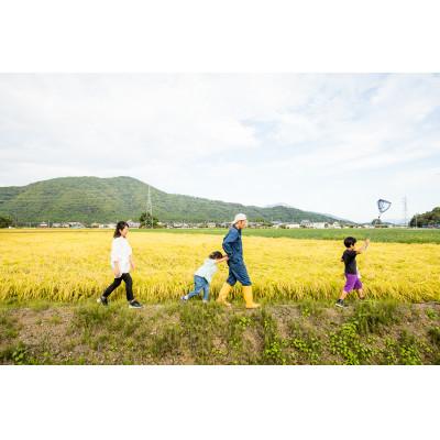 ふるさと納税 長浜市 【令和6年産】滋賀県長浜市　しっかり粒感!ここだけの味わい”みずかがみ”5K白米 |  | 03