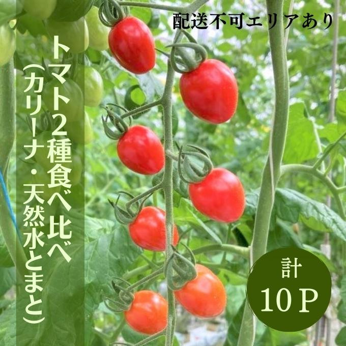 
トマト 2種 食べ比べ （ カリーナ ･ 天然水トマト ）計10パック
