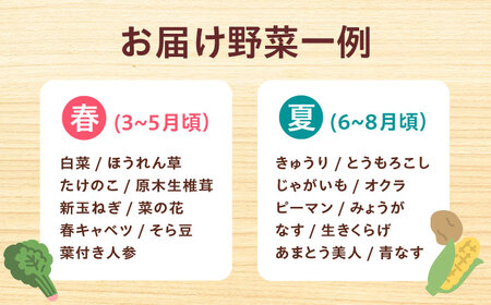 【全3回】高槻野菜 おまかせ詰め合わせ定期便 （10種〜15種）[AOCS019]野菜