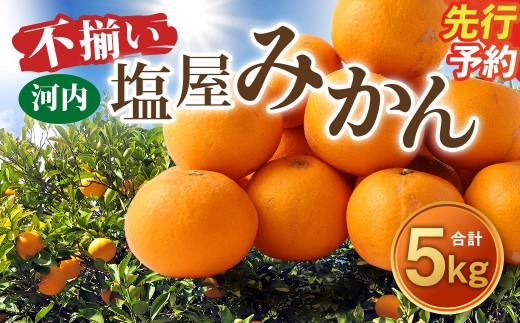 ＜ R8年熊本地震復興支援 ＞＜2026年10月発送予定＞【不揃い】選べる 河内 塩屋みかん 5kg 極早生みかん 熊本 国産 みかん 蜜柑 ミカン 果物 くだもの フルーツ