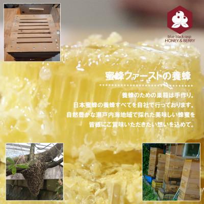 ふるさと納税 新居浜市 日本蜜蜂 100% 純粋 はちみつ 非加熱 240g×2本 国産 |  | 02