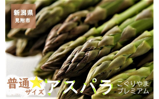 こぐりやまプレミアムアスパラ1kg（普通サイズ）（ファーム小栗山）