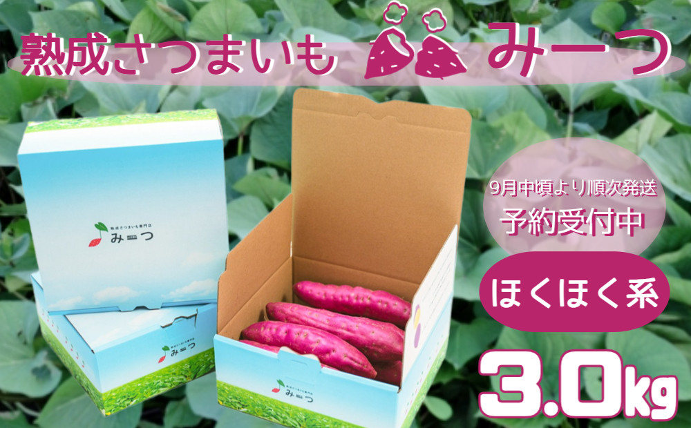 
【 予約受付中・2024年9月中旬頃より順次発送 】 熟成さつまいも みーつ (ほくほく系) 3.0kg【数量限定】｜ なると金時 鳴門金時 甘い ホクホク スイーツ 焼きいも スイートポテト おやつ 天ぷら 干し芋 ギフト
