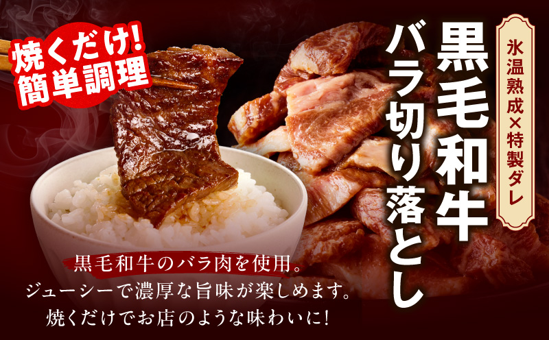 2025年 焼肉 福袋 4種 4kg【氷温熟成×特製ダレ 500g 小分け 牛肉 牛タン ヒレ ハラミ バラ 数量限定】 mrz0234