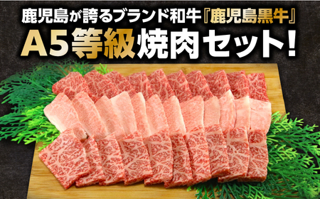 「 JAのお肉屋さん 」 A5 等級 ！ 鹿児島黒牛 焼肉 セット（計900g）　K234-001 肉 牛 牛肉 国産 黒毛和牛 黒牛 BBQ バーベキュー バラ カルビ 食べ比べ JA食肉かごしま 