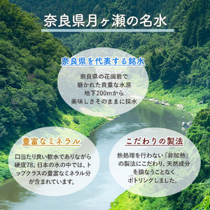 シリカウォーター Regina 奈良県産 24本（540ml） × 2ケース レジーナ LeMoN株式会社 奈良県 奈良市 なら 12-066