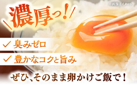 【全6回定期便】黄身の濃厚なコクと白身の甘み！たたらの里平飼い 彩り天佑卵 30個入り（10個×3P）たまご 卵 放牧卵 島根県雲南市/株式会社たなべたたらの里（たなべ森の鶏舎） [AIDL003]