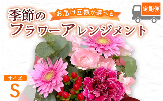 
            【選べる定期便】 季節のフラワーアレンジメント （S） | 発送月固定 花 お花 生花 フラワー フラワーアレンジメント 花束 花の定期便 定期便 4回 6回 12回 配送地域限定 京都府 綾部市
          