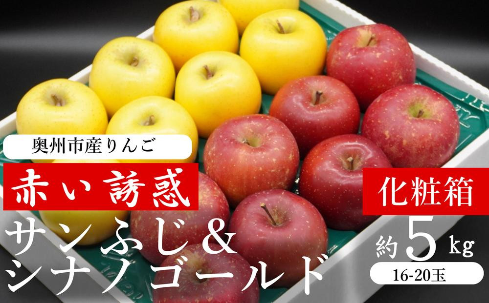 
奥州市産りんご 赤い誘惑「サンふじ＆シナノゴールド」 約5kg　16－20玉 贈答用 化粧箱 JA岩手ふるさと　
