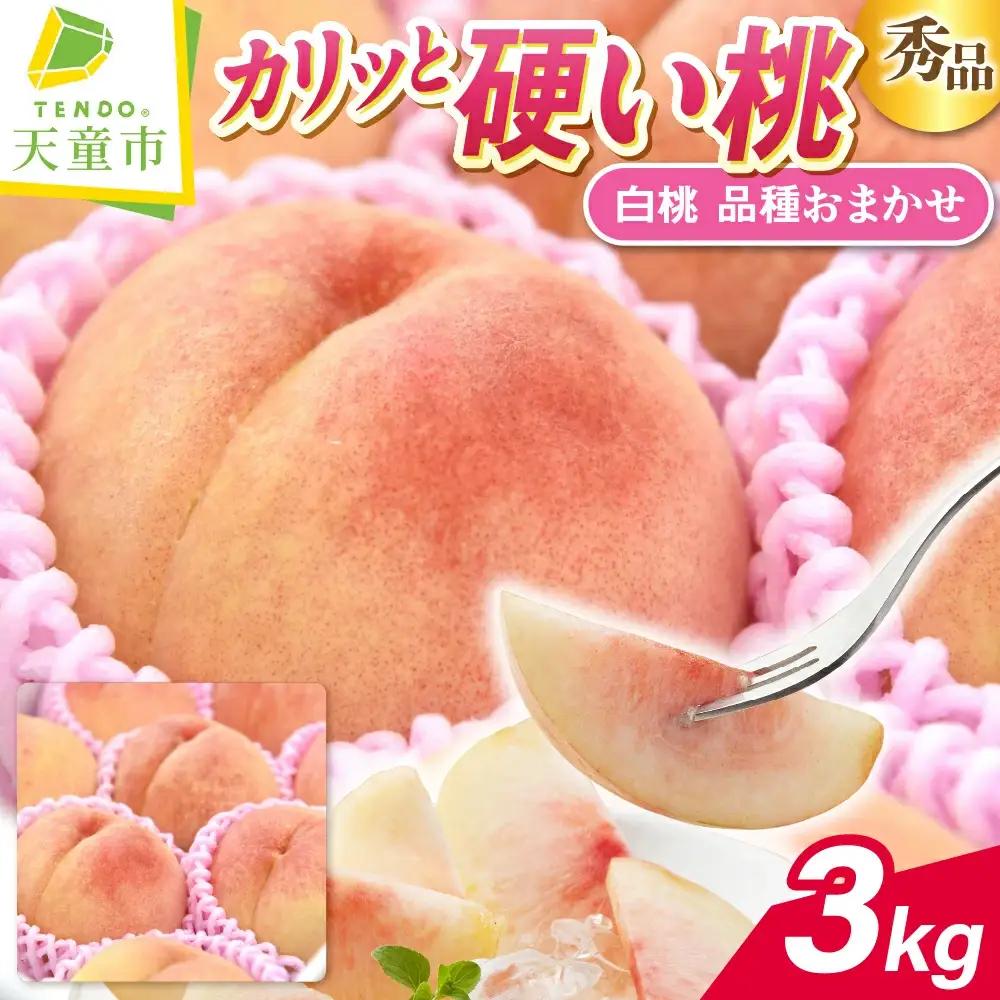 硬い桃 白桃 品種 おまかせ 3kg フルーツ 果物 山形