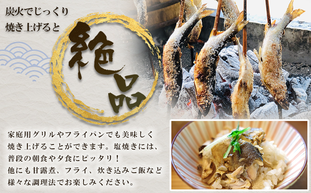 冷凍鮎　約200g 3E3