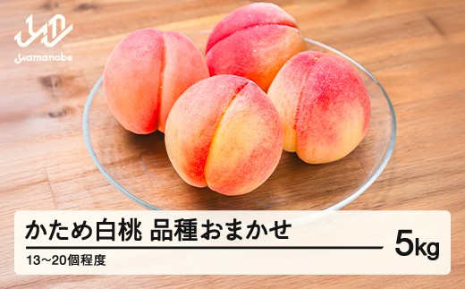 
                  かため白桃おまかせ もも 桃 品種おまかせ 約5kg 令和8年産 2026年産 果物 mm-mokox5000 ※沖縄・離島への配送不可
                