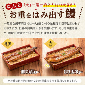 日ノ本一の鰻の蒲焼き＜大＞7尾セット(計1,330g以上) うなぎ 鰻 ウナギ 国産 鹿児島県産 九州産 蒲焼き 冷凍 うな重 ひつまぶし f0-034
