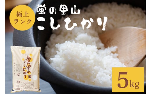 令和7年度 新米 農薬不使用｜蛍の里山こしひかり 白米5kg コシヒカリ 米 こしひかり 新米 精米 ブランド米 お米 白米 5kg 国産 贈答 ギフト おにぎり 弁当 R7年産 ごはん おいしい 旨い ふっくら お米 茨城県 笠間市 いばらき