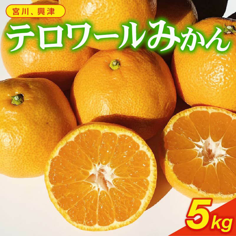 【ふるさと納税】 みかん 早生みかん 約 5kg 宮川 興津早生 ミカン 柑橘 蜜柑 ビタミン 果物 旬 新鮮 産地直送 果汁 贈答用 お歳暮 贈り物 ギフト 家庭用 有機栽培 無農薬 自然栽培 甘い 有機肥料 温州みかん いたくら農園 牧之原市 静岡県