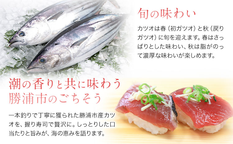 勝浦市産 カツオの握り寿司 8貫（4貫×2パック）《30日以内に出荷予定(土日祝除く)》千葉県 勝浦市 海産物 カツオ 鰹 寿司 すし 魚 海鮮---kastuura_cpfd_3---