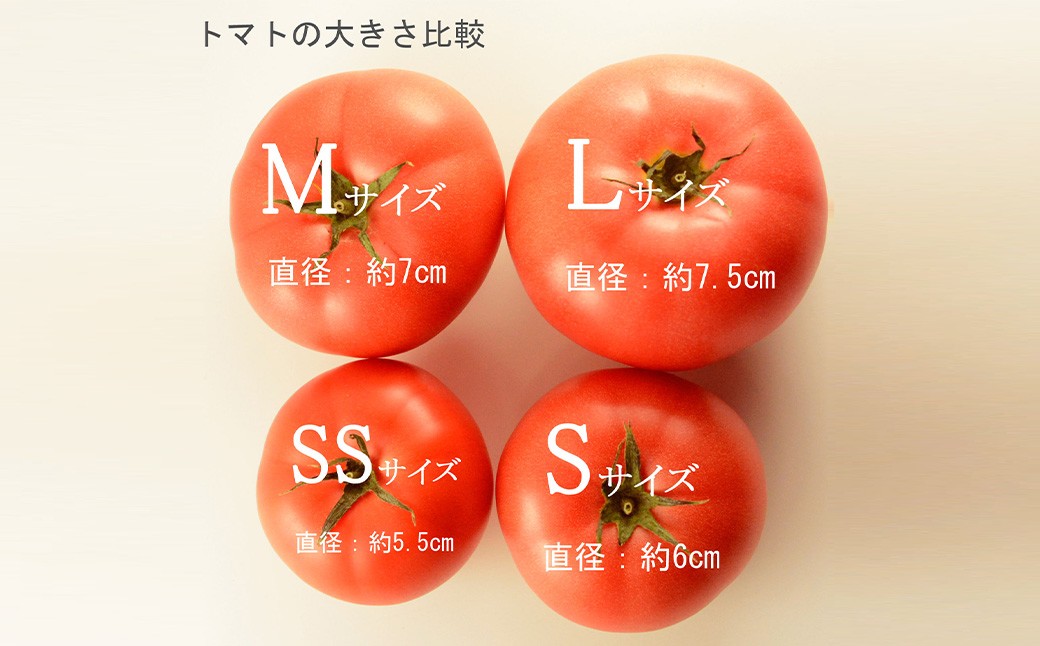 桃太郎トマト S玉 4kg