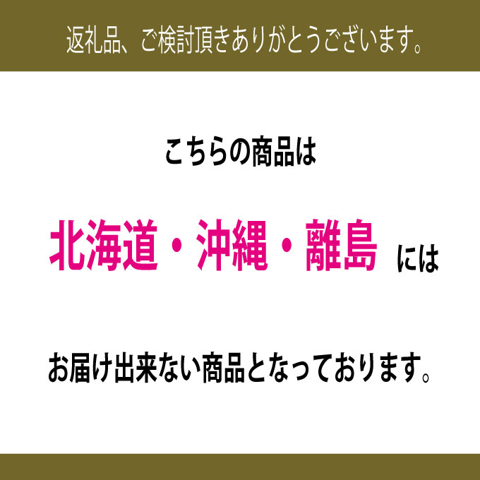 【定期便 全2回】 ぶどう 2026年 先行予約 9月・10月発送 高級品 シャインマスカット 晴王 1房 約700g ブドウ 葡萄 岡山県産 国産 フルーツ 果物 ギフト